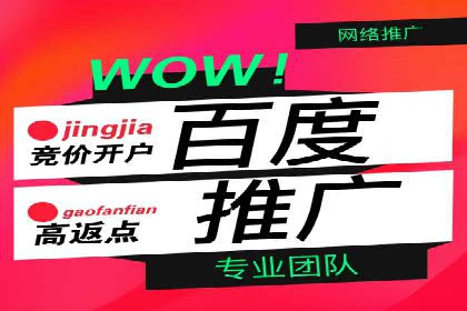SEM竞价托管实战案例，效果显著